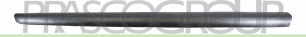 Prasco PG3201414 - Elemente decorative / protectie, portiera aaoparts.ro