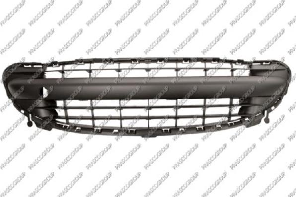 Prasco PG3202120 - Grila ventilatie, bara protectie aaoparts.ro