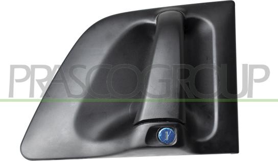 Prasco RN9808002 - Maner usa aaoparts.ro