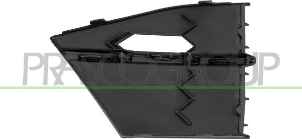 Prasco SK4242123 - Grila ventilatie, bara protectie aaoparts.ro