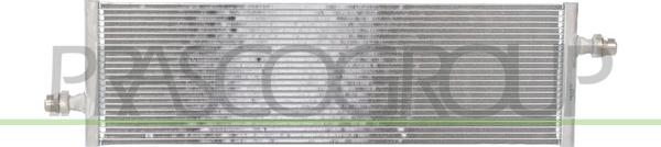 Prasco TS300R001 - Radiator, racire motor aaoparts.ro