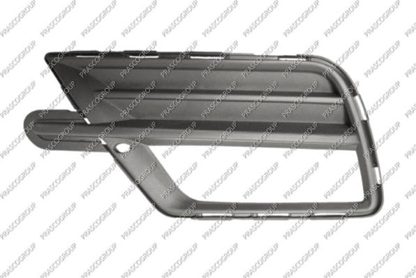 Prasco VG9072134 - Grila ventilatie, bara protectie aaoparts.ro