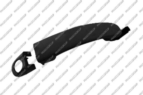 Prasco VG5208004 - Maner usa aaoparts.ro