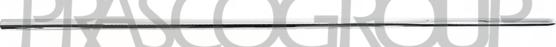 Prasco VG0541444 - Elemente decorative / protectie, portiera aaoparts.ro