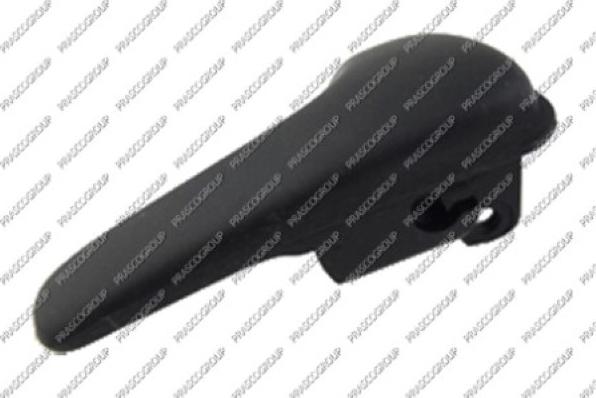 Prasco VG0518801 - Maner usa aaoparts.ro