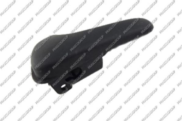 Prasco VG0518802 - Maner usa aaoparts.ro