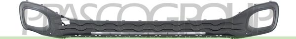 Prasco VG7502120 - Grila ventilatie, bara protectie aaoparts.ro