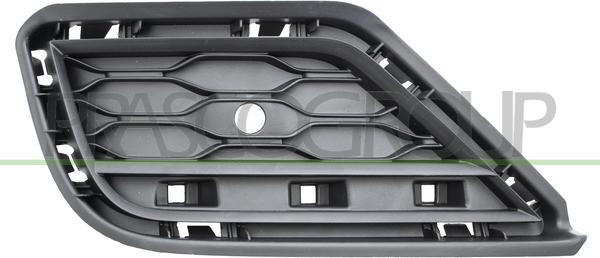 Prasco VG7702063 - Grila ventilatie, bara protectie aaoparts.ro