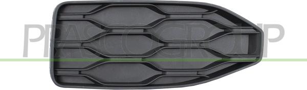 Prasco VG7702114 - Grila ventilatie, bara protectie aaoparts.ro