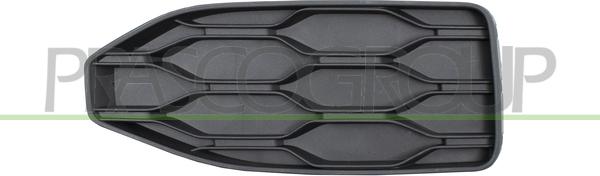Prasco VG7702113 - Grila ventilatie, bara protectie aaoparts.ro