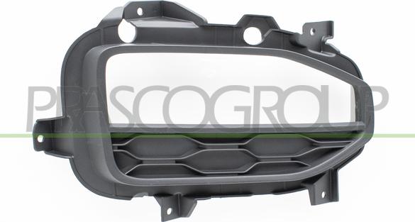 Prasco VG7702133 - Grila ventilatie, bara protectie aaoparts.ro