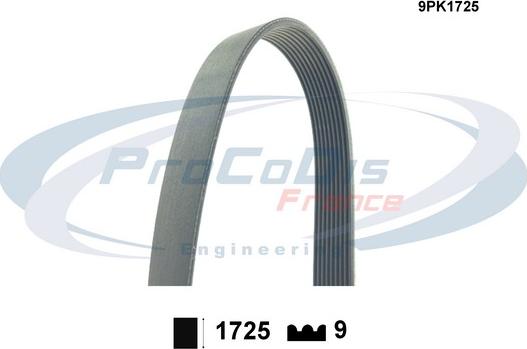 Procodis France 9PK1725 - Curea transmisie cu caneluri aaoparts.ro