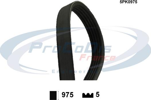 Procodis France 5PK0975 - Curea transmisie cu caneluri aaoparts.ro