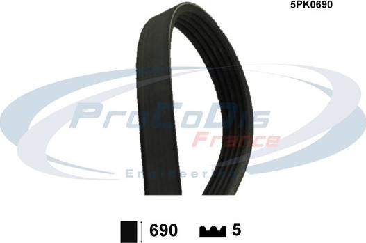Procodis France 5PK0690 - Curea transmisie cu caneluri aaoparts.ro