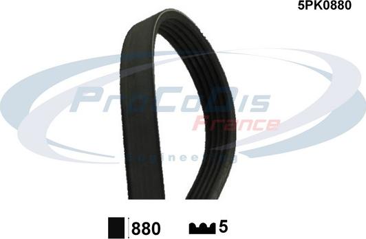 Procodis France 5PK0880 - Curea transmisie cu caneluri aaoparts.ro