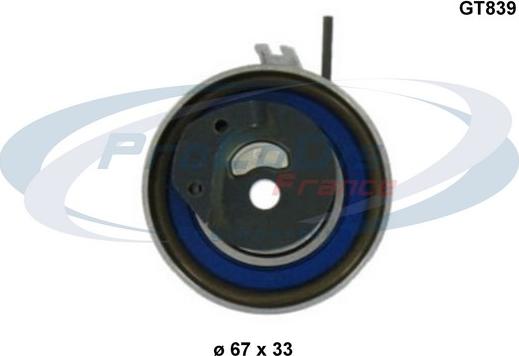 Procodis France GT839 - Rola intinzator,curea distributie aaoparts.ro