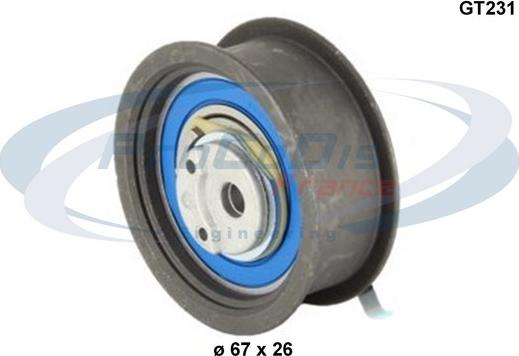 Procodis France GT231 - Rola intinzator,curea distributie aaoparts.ro