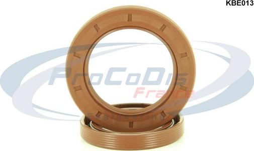 Procodis France KBE013 - Set garnit. etans.arbore, motor aaoparts.ro