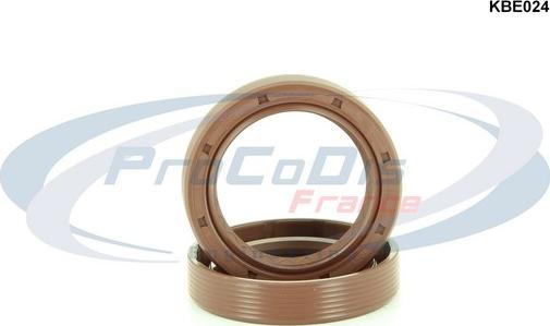 Procodis France KBE024 - Set garnit. etans.arbore, motor aaoparts.ro