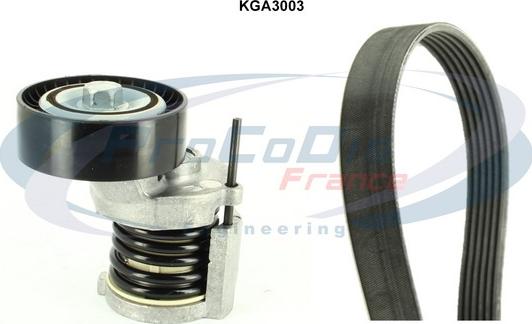 Procodis France KGA3003 - Set curea transmisie cu caneluri aaoparts.ro