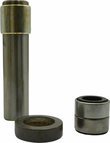 QAP S16019 030895 - Set reparatie, pivot aaoparts.ro