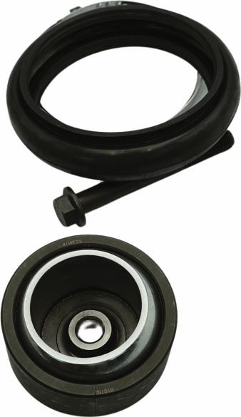 QAP S11011 050318 - Chit reparatie, brat aaoparts.ro