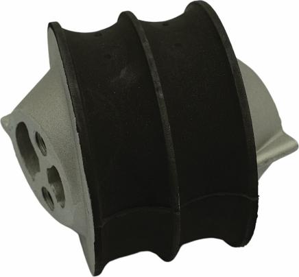 QAP S12011 050406 - Suport motor aaoparts.ro