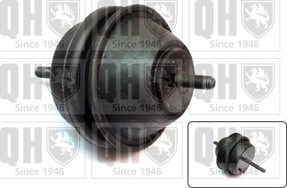 Quinton Hazell EM4061 - Suport motor aaoparts.ro