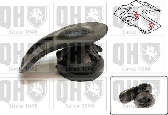 Quinton Hazell EM4861 - Acoperire motor aaoparts.ro