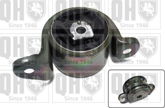 Quinton Hazell EM1920 - Suport motor aaoparts.ro