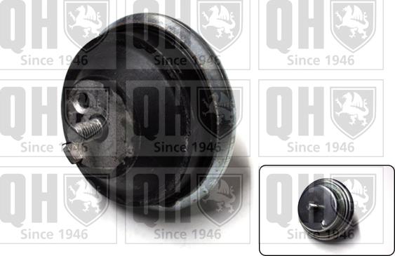 Quinton Hazell EM2461 - Suport motor aaoparts.ro