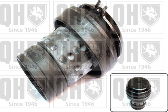 Quinton Hazell EM2509 - Suport motor aaoparts.ro