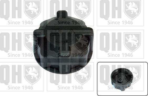 Quinton Hazell FC501 - Buson,vas expansiune aaoparts.ro