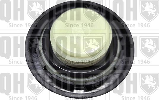 Quinton Hazell FC583 - Buson,umplere ulei aaoparts.ro