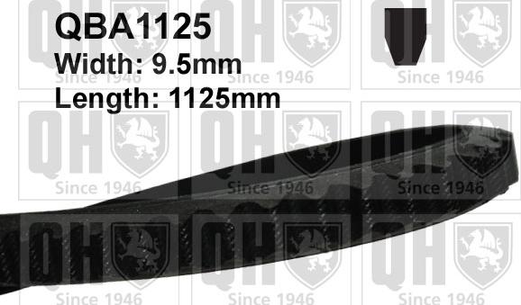 Quinton Hazell QBA1125 - Curea transmisie aaoparts.ro