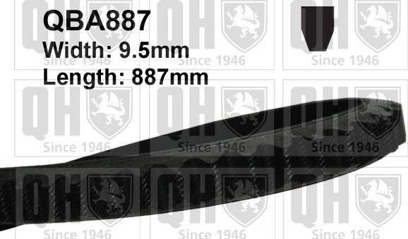 Quinton Hazell QBA887 - Curea transmisie aaoparts.ro