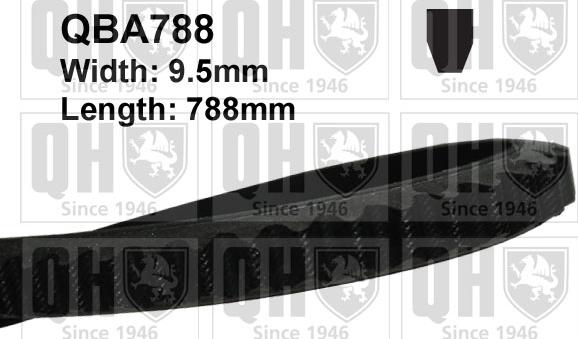 Quinton Hazell QBA788 - Curea transmisie aaoparts.ro