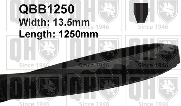 Quinton Hazell QBB1250 - Curea transmisie aaoparts.ro