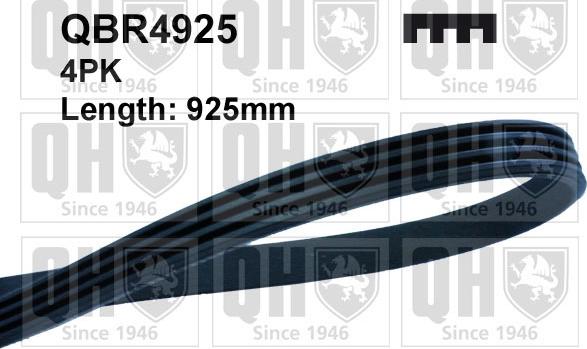Quinton Hazell QBR4925 - Curea transmisie cu caneluri aaoparts.ro