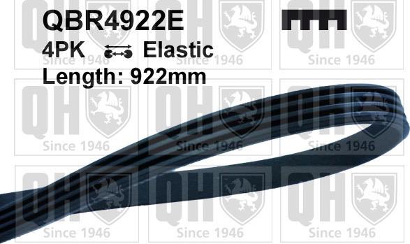 Quinton Hazell QBR4922E - Curea transmisie cu caneluri aaoparts.ro