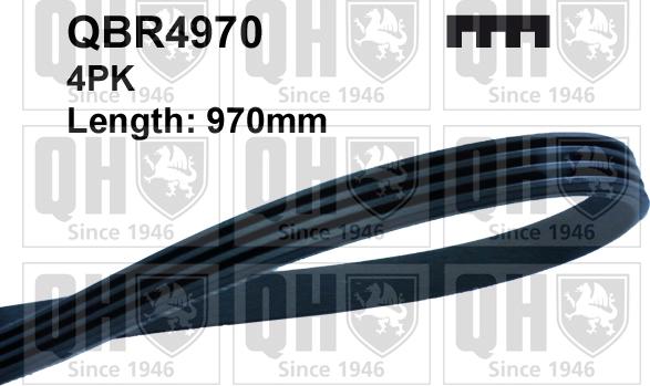 Quinton Hazell QBR4970 - Curea transmisie cu caneluri aaoparts.ro