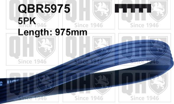 Quinton Hazell QBR5975 - Curea transmisie cu caneluri aaoparts.ro