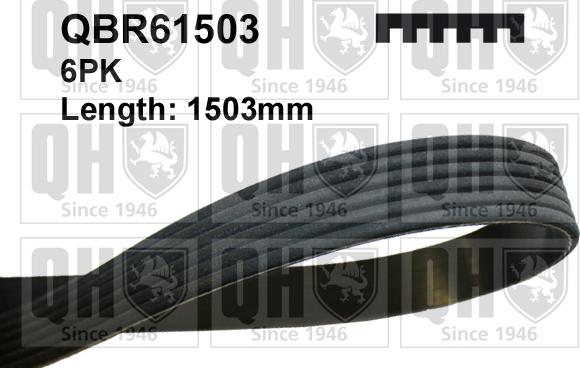 Quinton Hazell QBR61503 - Curea transmisie cu caneluri aaoparts.ro