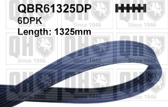 Quinton Hazell QBR61325DP - Curea transmisie cu caneluri aaoparts.ro
