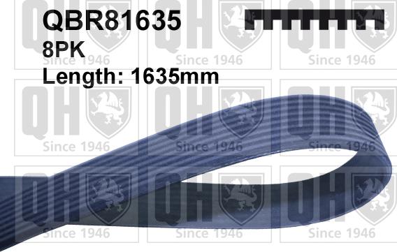 Quinton Hazell QBR81635 - Curea transmisie cu caneluri aaoparts.ro