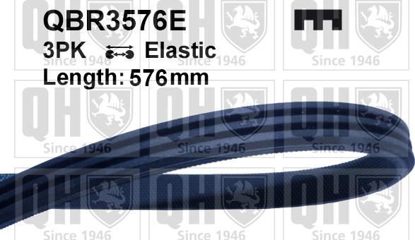 Quinton Hazell QBR3576E - Curea transmisie cu caneluri aaoparts.ro