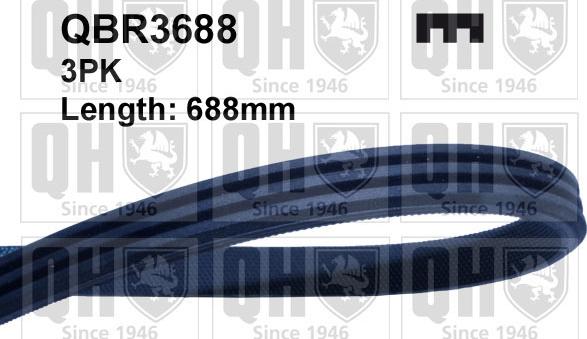 Quinton Hazell QBR3688 - Curea transmisie cu caneluri aaoparts.ro
