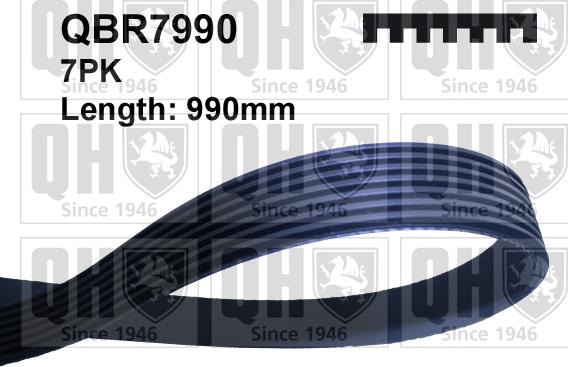 Quinton Hazell QBR7990 - Curea transmisie cu caneluri aaoparts.ro