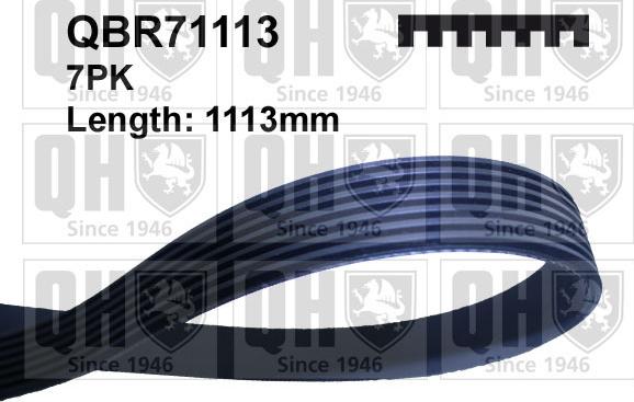 Quinton Hazell QBR71113 - Curea transmisie cu caneluri aaoparts.ro