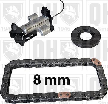 Quinton Hazell QCK135 - Chit lant de distributie aaoparts.ro